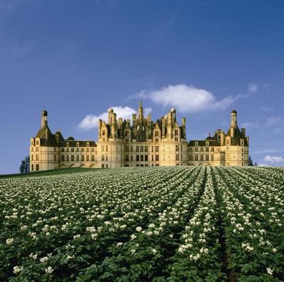 玫瑰之园-法国五月花庄园[图文]