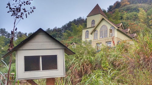 桐庐多森庄园,向往的生活