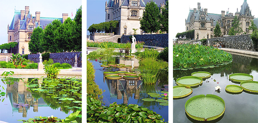 比尔摩庄园--美国较大私人庄园