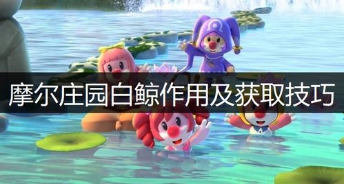 摩尔庄园白鲸怎么钓 摩尔庄园手游白鲸作用及获取技巧说明