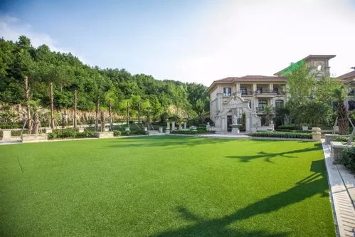 免费住 温州人春节游玩民宿酒店攻略 欢乐过节啊