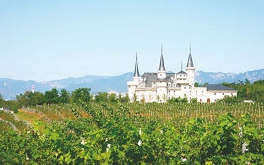 英国六大著名葡萄酒庄园