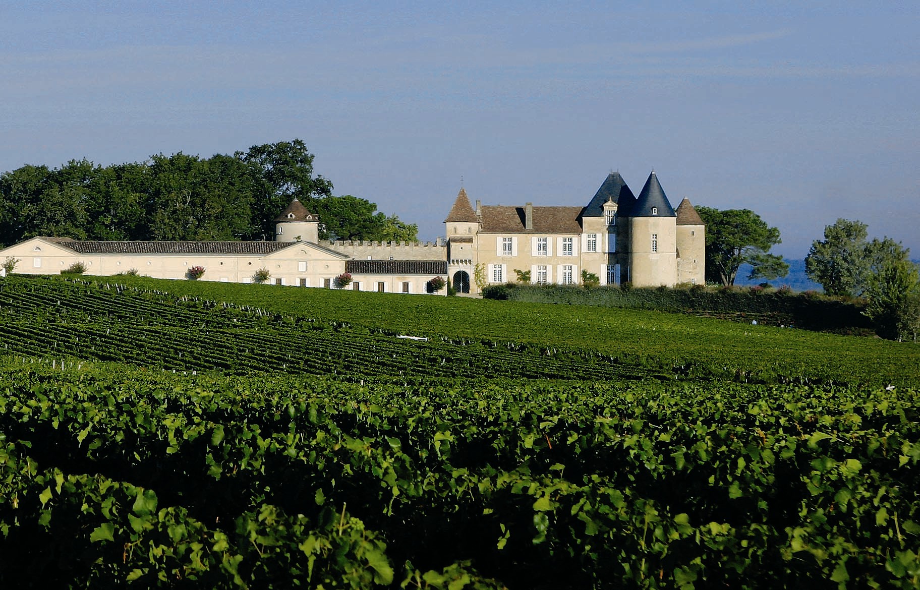 进口葡萄酒和国产葡萄酒的区别