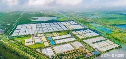 日本光伏厂商宣告停产,曾经世界第一的工厂,最终败给中国企业