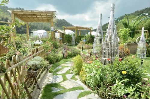 柴泉农逗 花艺庄园