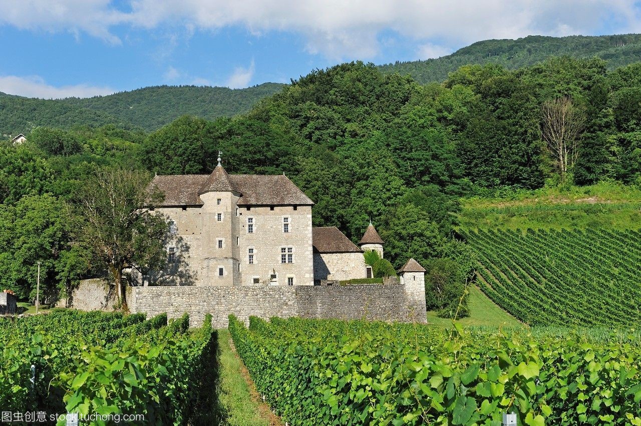 探索湖庄园附近的Ruffieux Chautagne葡萄园 萨瓦阿尔卑斯大区的瑰宝