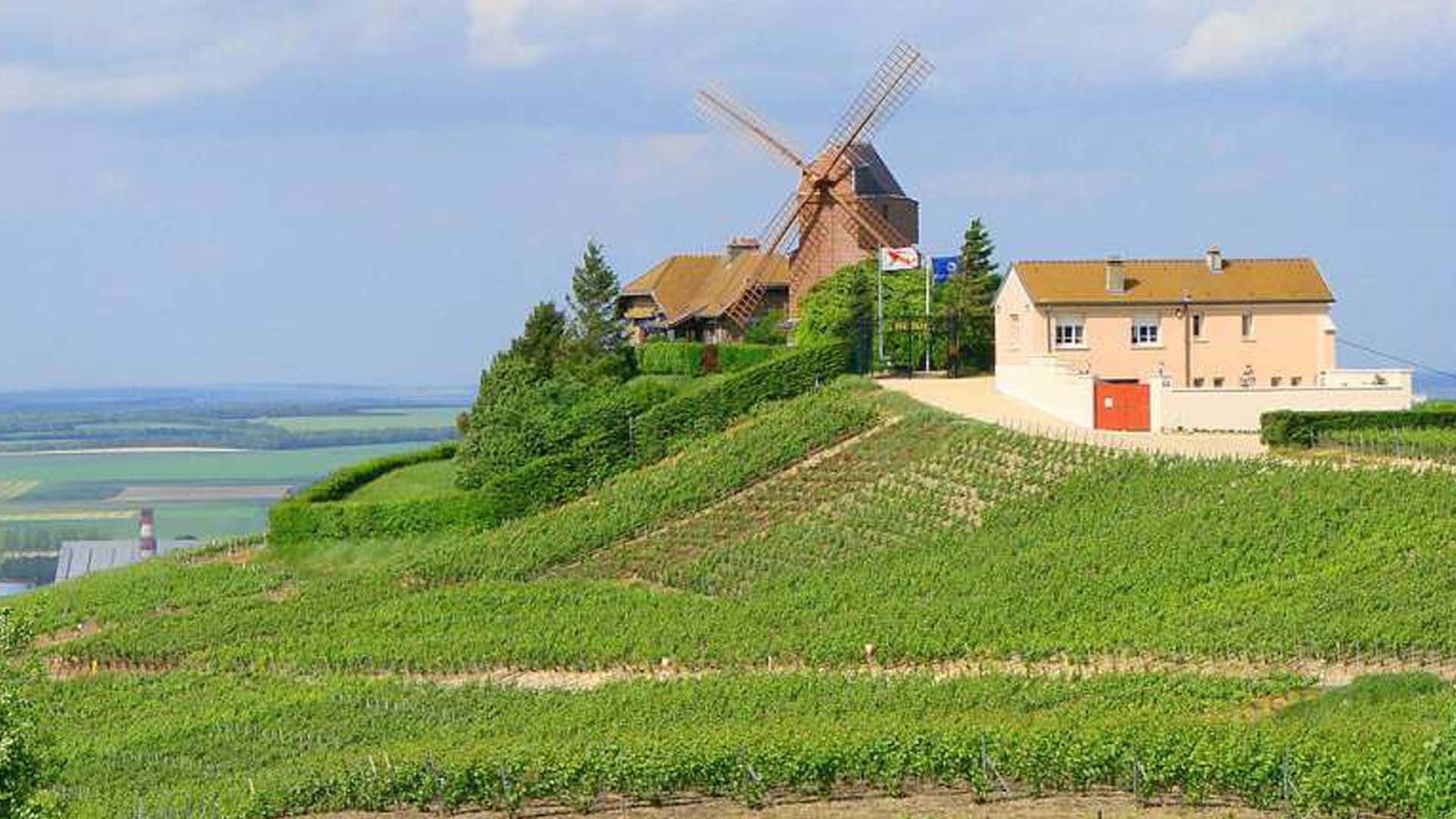 2018年法国葡萄酒庄园最新排名 品味卓越与风土的荣耀